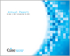 Annual Report 2012 to 2013